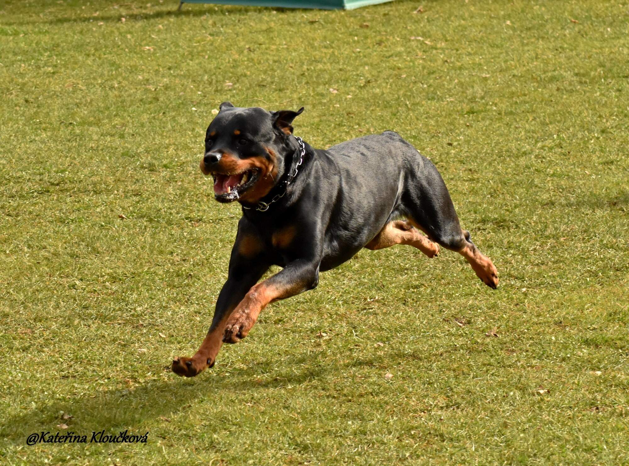 DSC_2069